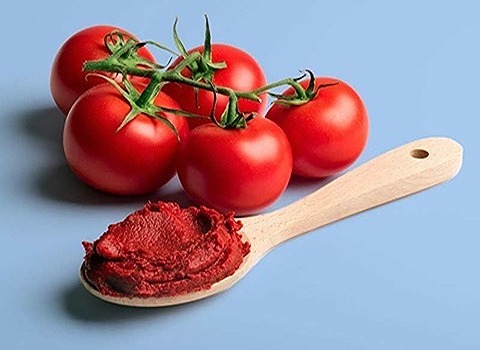 تصویر 2 از قیمت خرید رب گوجه فرنگی مانیلو + فروش ویژه